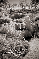 Terry's Garden 2